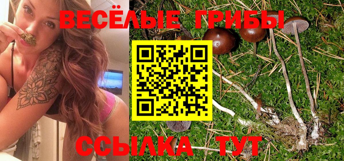 Можга  Псилоцибиновые грибы GOLDEN TEACHER  Вход с VPN 