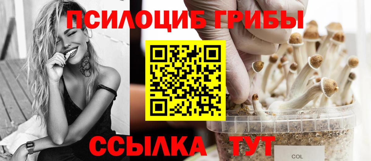 Псилоцибиновые грибы мицелий Можга