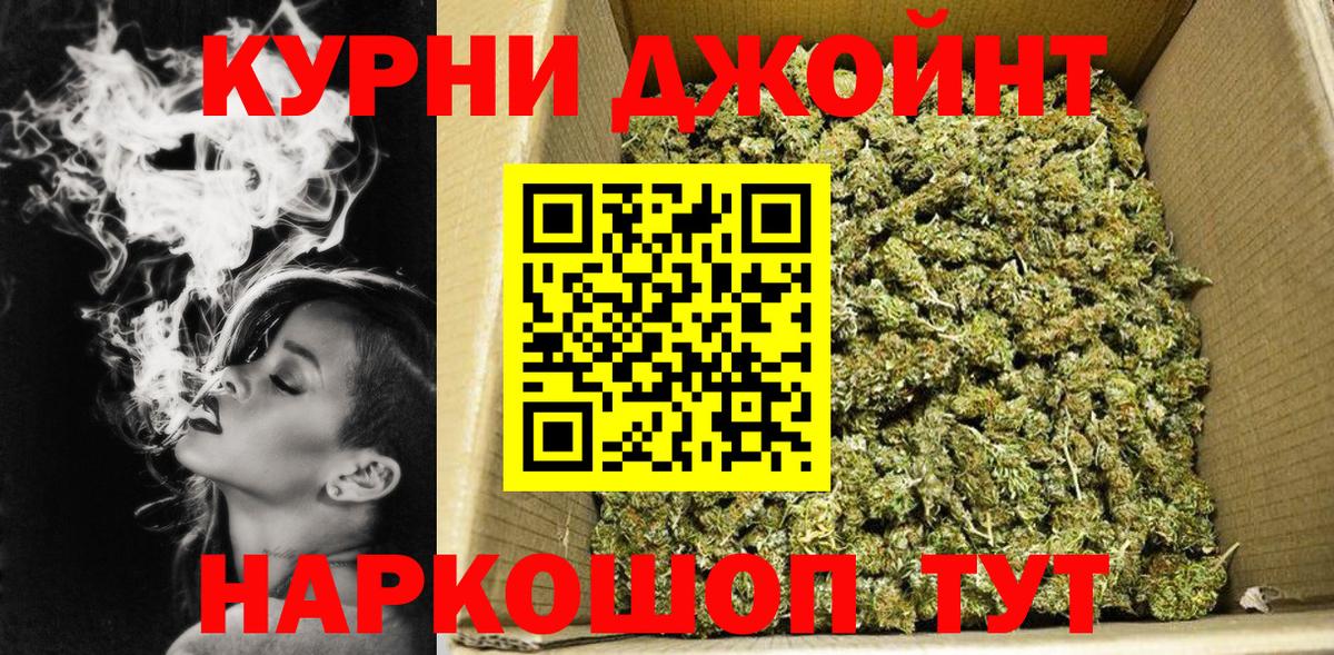 Бошки Шишки VHQ Можга